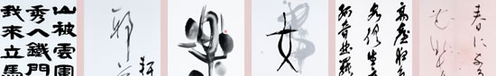 特別会友